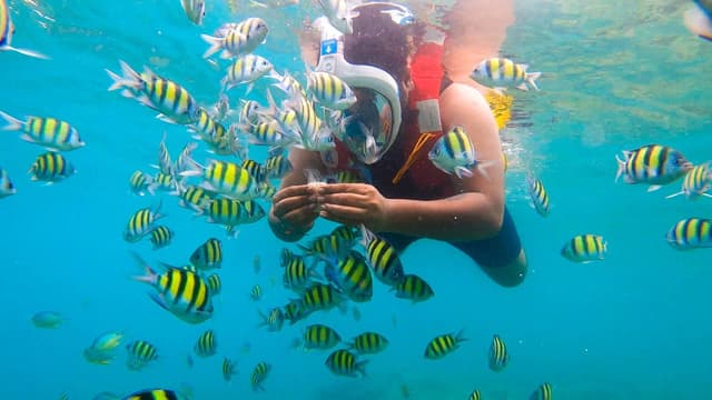 Andaman Tour Package 5 Days 4 Nights | Port Blair Havelock Elephant Beach