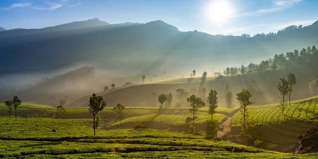 Kerala 7 Days Tour Package (Ex Cochin)